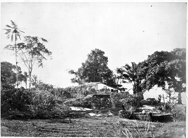 Bahia public gardens, Bahia, Brazil, South America 1873