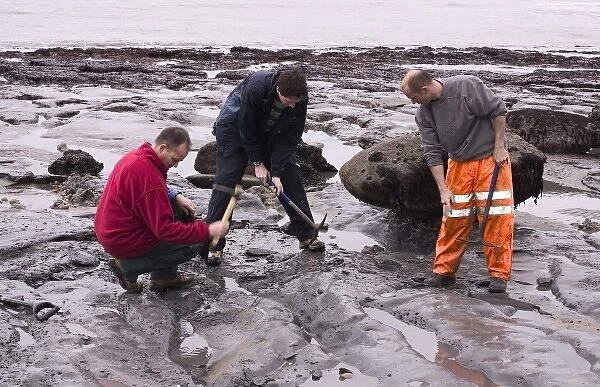 Excavating at Charmouth