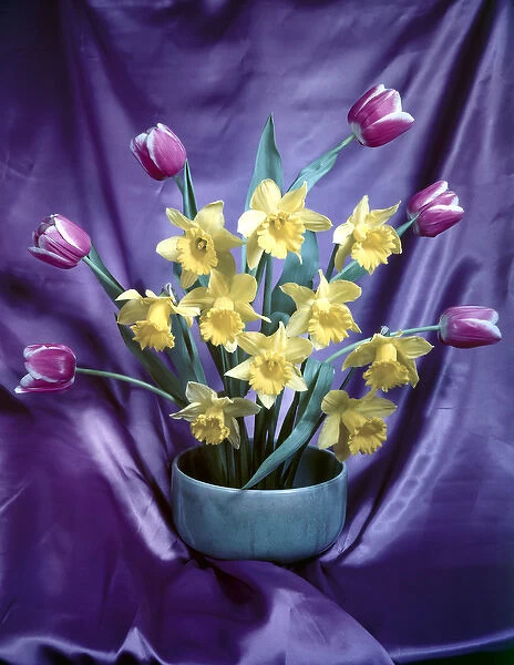 Flower arrangement with daffodils and tulips