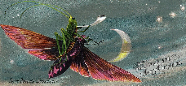 Grasshopper riding a moth on a Christmas card