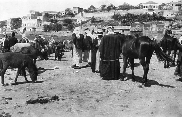 Horse market at Nazareth, Northern Israel