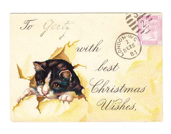 Kitten with envelope on a Christmas card