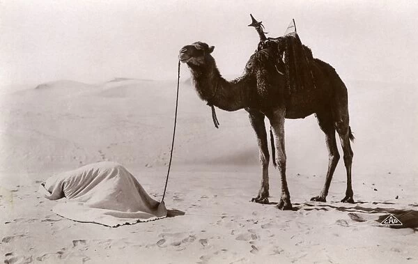 Midday Prayers in the desert - Algeria