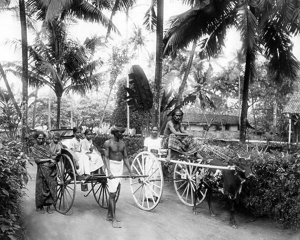 Modes of transport, Ceylon (Sri Lanka)
