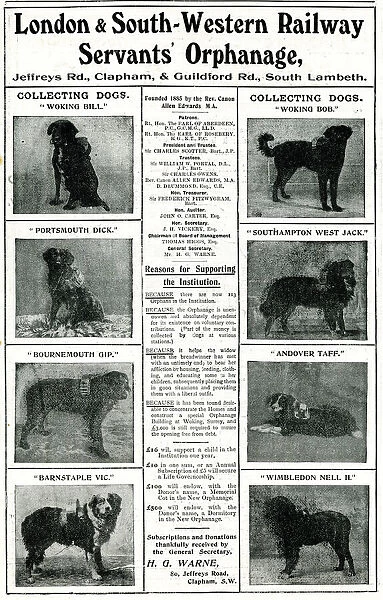 Railway Orphanage Charity Collecting Dogs