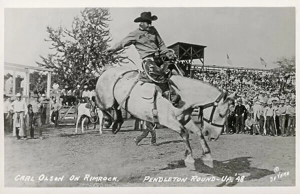 Rodeo - Carl Olson on Rimrock - Pendleton Round-up