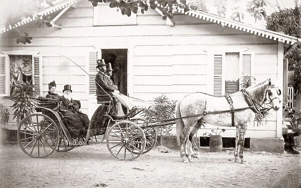 White couple in horse drawn buggy, Jamaica, c. 1890