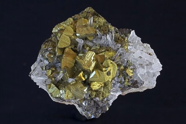 Chalcopyrite (CuFeS2) (Golden) - Peru - The major ore of copper - Copper Iron sulfide - Very important economic ore - Quartz SiO2