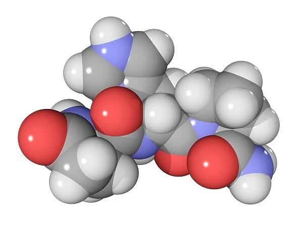 Thyrotrophin-releasing hormone molecule