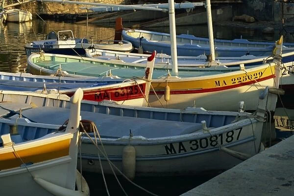 Fishing boats in harbour in the evening, Cassis, Bouches-du-Rhone, Cote d Azur