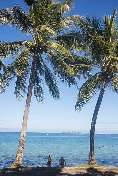 Palm trees, Anse Vata beach, Noumea, New Caledonia, Pacific