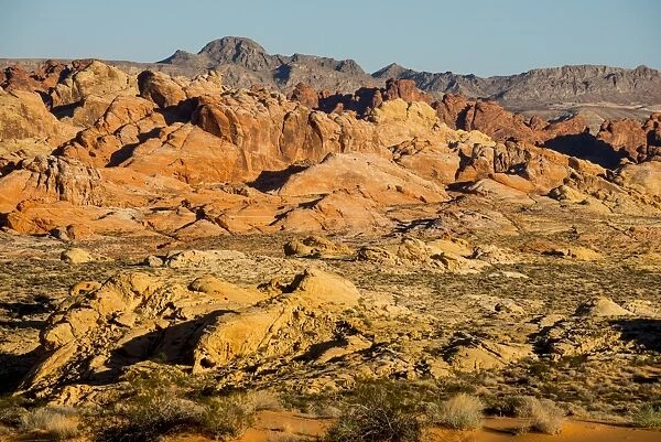 View over the redrock sandstone formations in the Valley of Fire State Park, Nevada, United States of America, North America