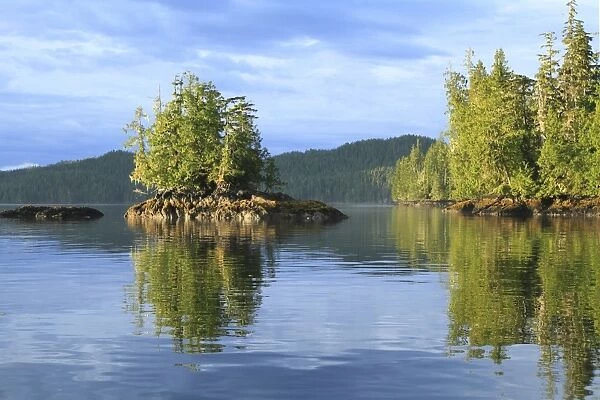 View of islet and temperate coastal rainforest in evening, Lama Passage, Inside Passage, Coast Mountains