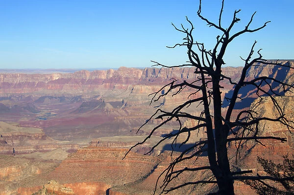 USA, Arizona, Grand Canyon. The Grand Canyon, a UNESCO World Heritage Site, view