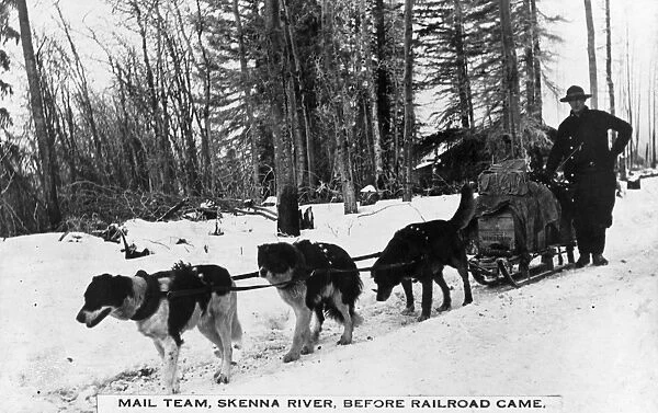 CANADA: DOG SLED, c1920. A dog sled mail team along the Skeena River in British Columbia, Canada