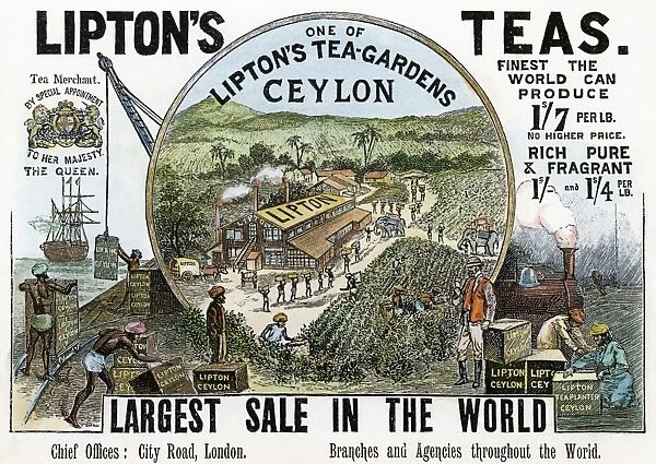 TEA ADVERTISEMENT, 1896. For Liptons Teas featuring the English Companys plantations