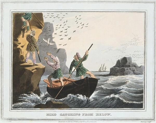 Bird Catching from Below. Catchers were helped up the cliffs by colleagues in rowing boats