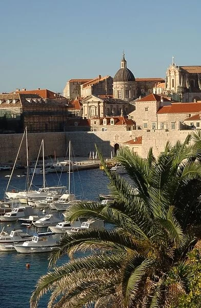 Croatia, Dalmatia, Dubrovnik, port near old town
