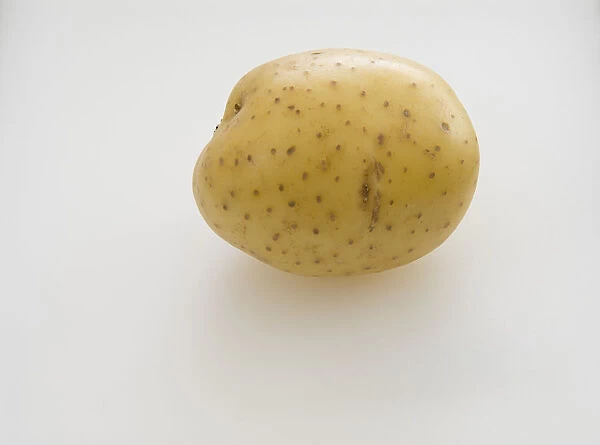 Maris Piper potato, close-up