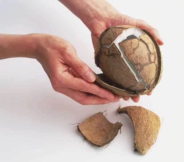 Separating Coconut husk from shell
