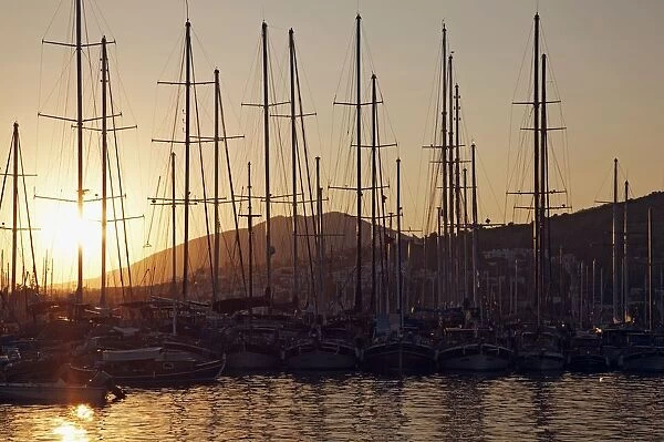 Turkey, Bodrum, sunset view of boats in harbour