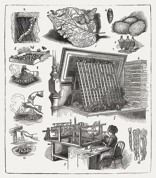 Silk production, wood engraving, published in 1877