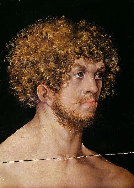 Adam and Eve, detail of Adams head (oil on panel) (detail of 159264)