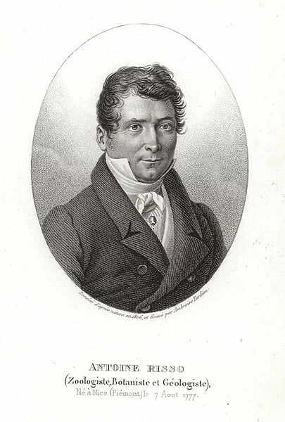 Antoine Risso (engraving)