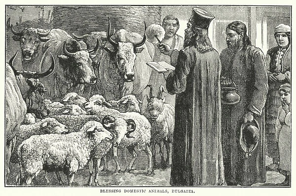 Blessing Domestic Animals, Bulgaria (engraving)
