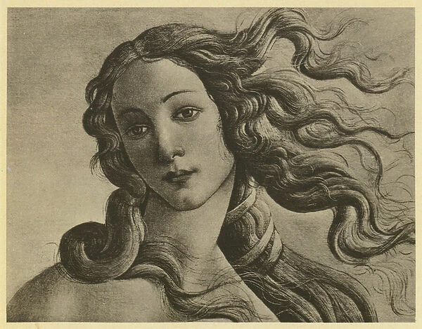 Botticelli: Venus Anadyomene, Detail (b  /  w photo)