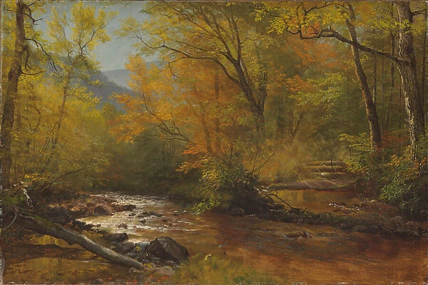 Brook in woods (oil on paper laid down on canvas, laid down on masonite)