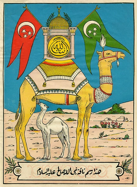 The Camel of Saleh, Sura 7, verse 71: (... ) this camel of God is for you a sign (... )