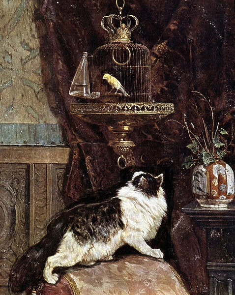 Cat spying on a bird in a cage - by Henriette Ronner, 19th century