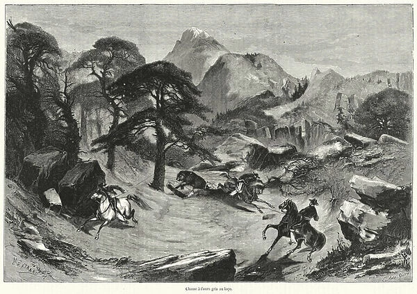 Chasse a l ours gris au laco (engraving)