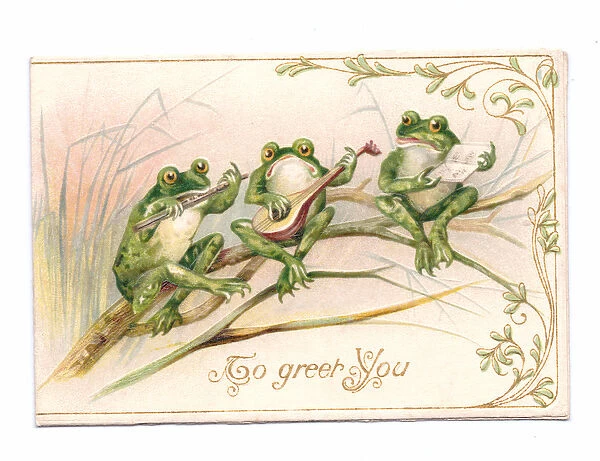 Edwardian postcard of three frogs sitting on a branch playing musical instruments, c