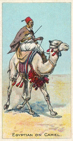Egyptian on Camel (chromolitho)