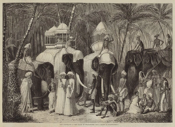 The Elephants of the Rajah of Travancore (engraving)