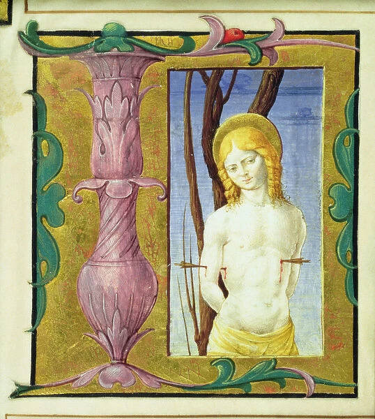 Historiated initial L depicting St. Sebastian (vellum)