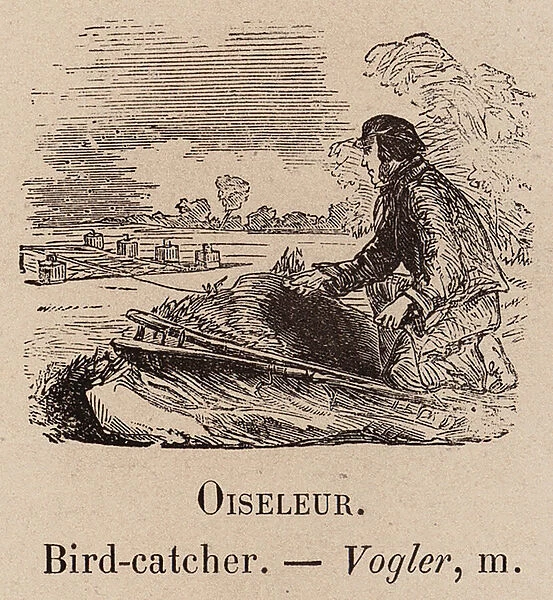 Le Vocabulaire Illustre: Oiseleur; Bird-catcher; Vogler (engraving)