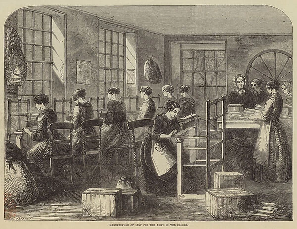 Manufacture of Lint for the Army in the Crimea (engraving)