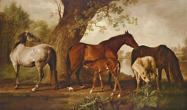 Mare and Foals (oil on canvas)