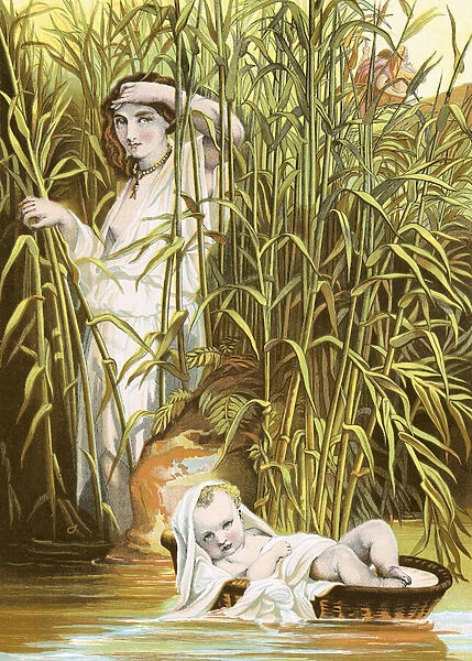 Moses in the bulrushes