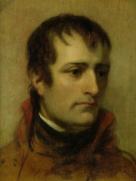 Napoleon Bonaparte (1769-1821) First Consul, 1802 (oil on canvas)