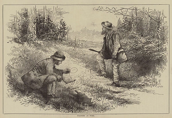 Poachers at Work (engraving)