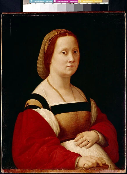 The Pregnant Woman (La Gravida) (oil on wood, 1505-1506)