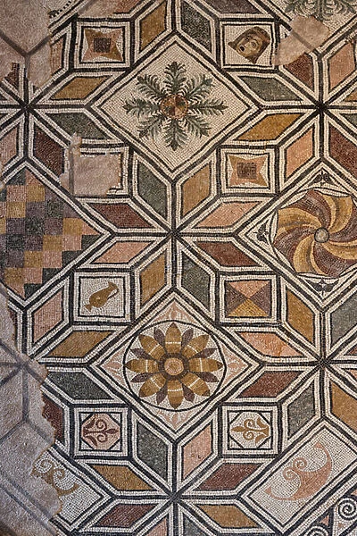 One of the Roman domus of Ortaglia: detail of the mosaic floor of the Viridarium (mosaic)