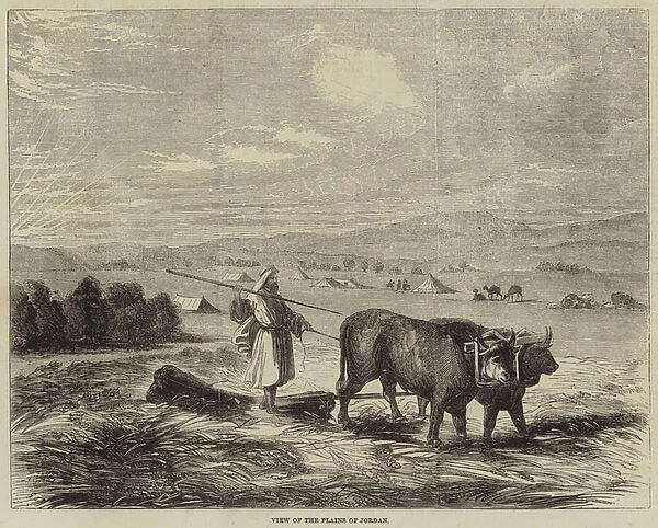 View of the Plains of Jordan (engraving)