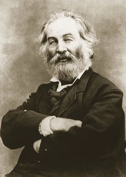 Walt Whitman (photogravure)