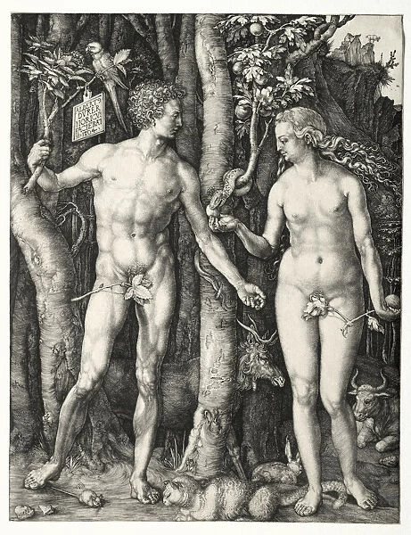 Adam Eve 1504 Albrecht Dürer German 1471-1528