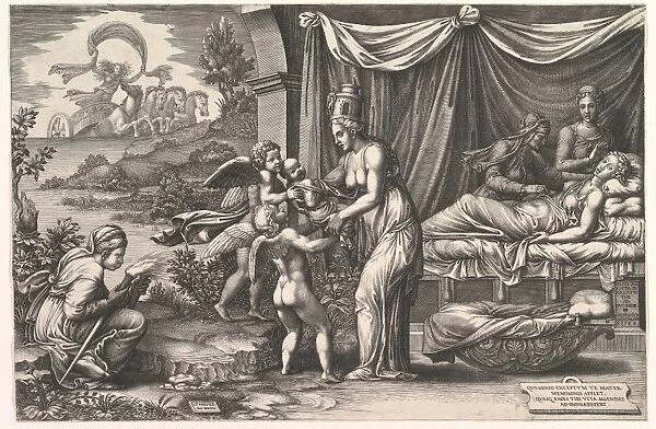 Allegory Birth 1558 Engraving sheet 10 13  /  16 x 16 5  /  16